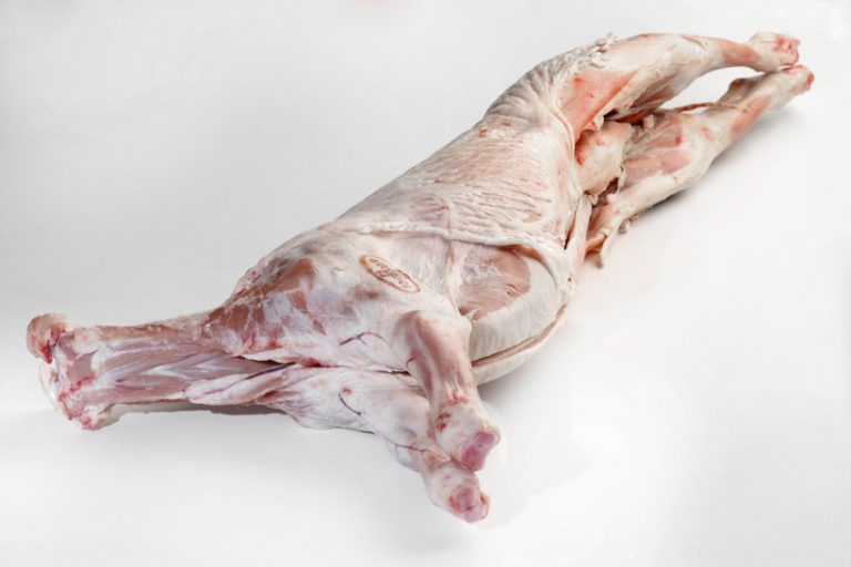 01 CANAL DE LECHAL 768x512