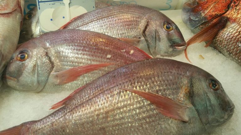 IMG 20150807 WA0015 768x432