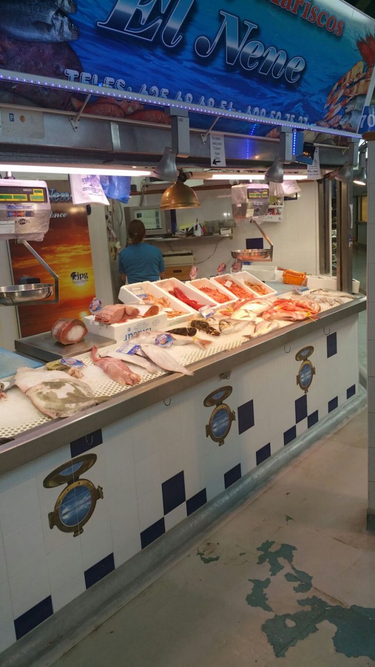 IMG 20150910 WA0023 768x1365