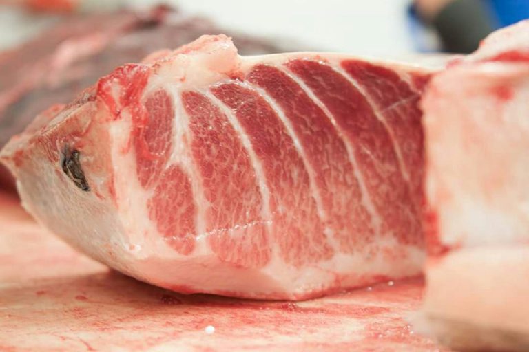 IMG 20170428 WA0004 768x512